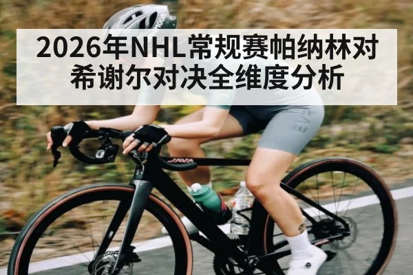 2026年NHL常规赛帕纳林对希谢尔对决全维度分析 - kaiyun
